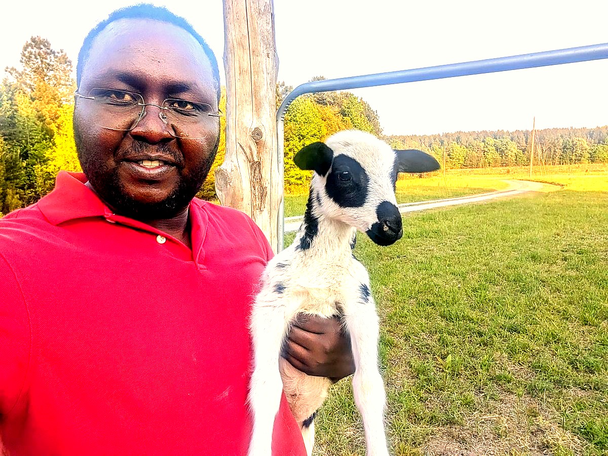 Farmer holding newborn lamb